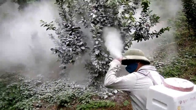 Phân vôi thường được dùng xử lý đất và phòng sâu bệnh cho cây trồng