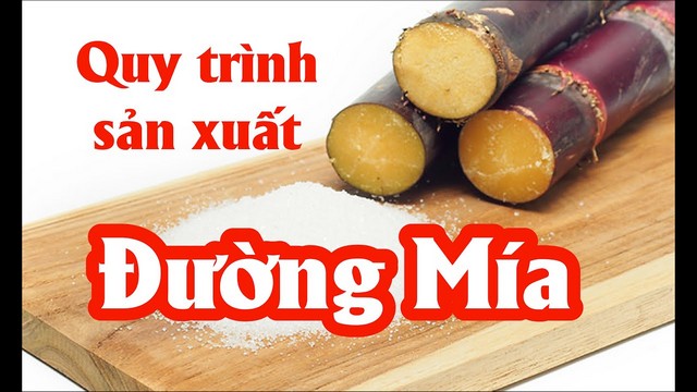 Tìm hiểu công nghệ sản xuất đường mía ở nước ta