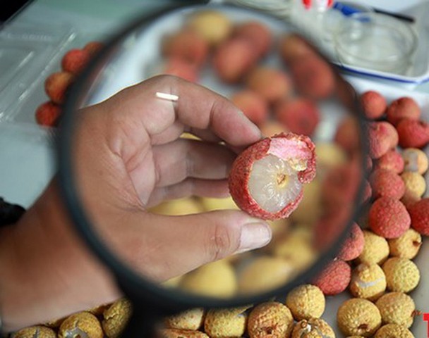 Công nghệ sau thu hoạch là gì và có vai trò ra sao đối với nông nghiệp?