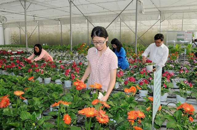 Ứng dụng công nghệ sinh học thúc đẩy nông nghiệp phát triển