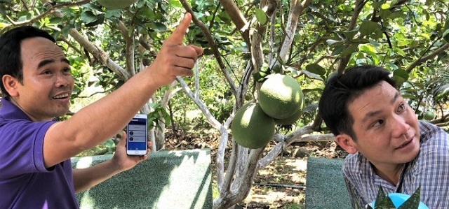 Hệ thống tưới tiêu và chăm sóc cây trồng có thể điều khiển từ xa bằng điện thoại di động