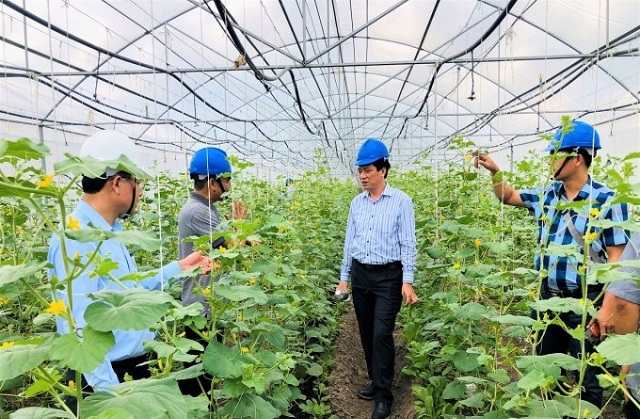 Trang Trại Việt bắt đầu ứng dụng công nghệ sản xuất sạch cho quá trình sản xuất