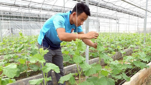 Khởi nghiệp nông nghiệp công nghệ là cơ hội hay thách thức lớn cho người trẻ?