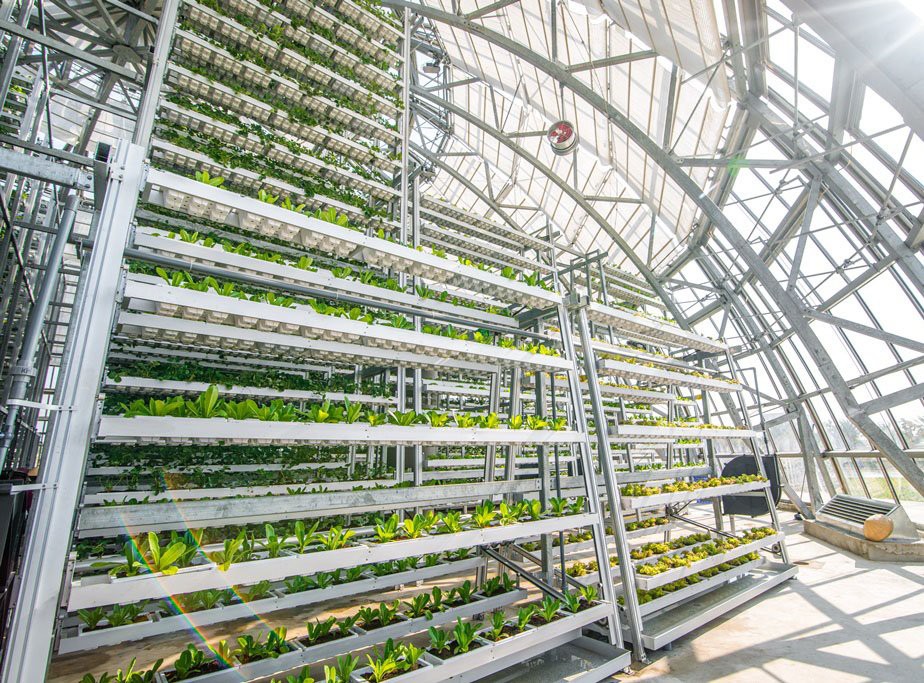 Điểm qua các mô hình nông nghiệp công nghệ cao lý tưởng ở nước ta