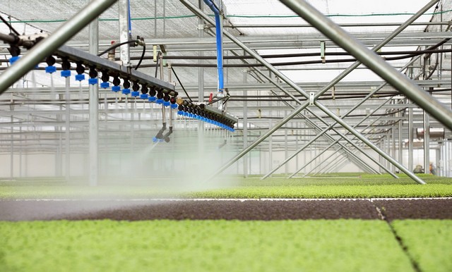 Nông nghiệp công nghệ cao mang đến rất nhiều lợi ích cho con người