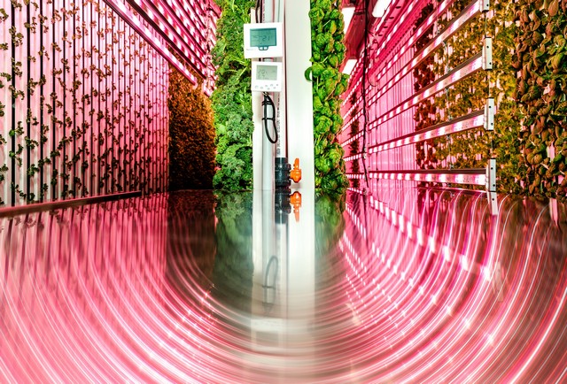 Nông trại trong container – Modular Farms tại Canada