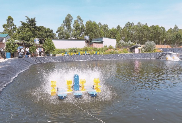 Tìm hiểu về thành công trong nuôi cá công nghệ cao ở nước ta