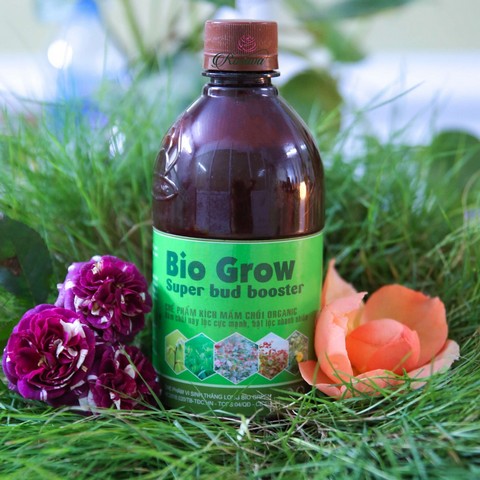 Sản phẩm phân bón vi sinh đang được ưa chuộng trên thị trường