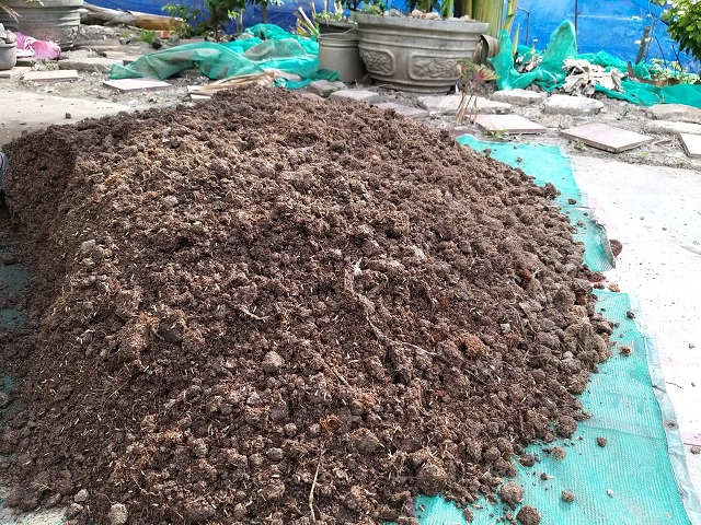 Phân bò chất lượng sẽ chứa nhiều vi sinh vật có lợi và không mang mầm bệnh