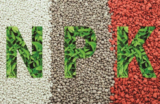 Nguyên tố vi lượng không thể thiếu trong phân bón là N, P, K