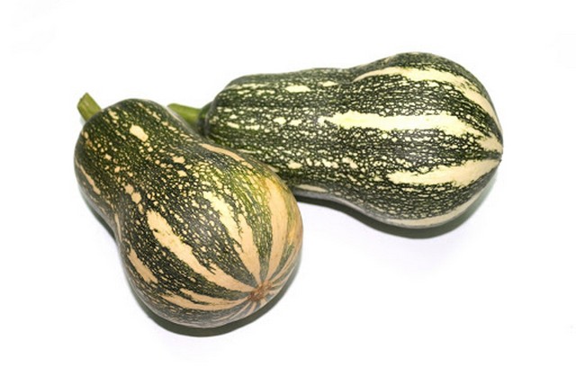 Chia sẻ kỹ thuật trồng bí đỏ hồ lô cho năng suất “siêu khủng” mỗi vụ