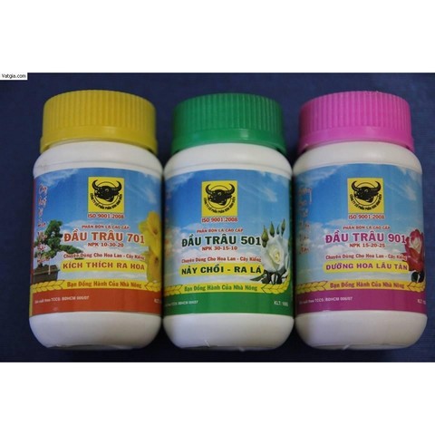 Sử dụng phân bón đúng lượng và đúng thời điểm khi trồng hoa đồng tiền trong chậu