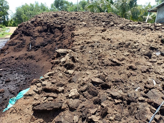 Phân bò được ủ đúng cách sẽ giúp vi sinh vật có lợi phát triển mạnh mẽ