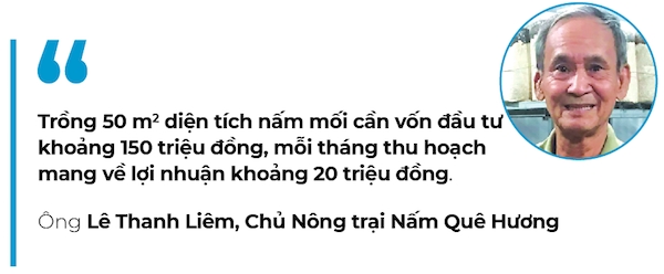 trồng nấm mối