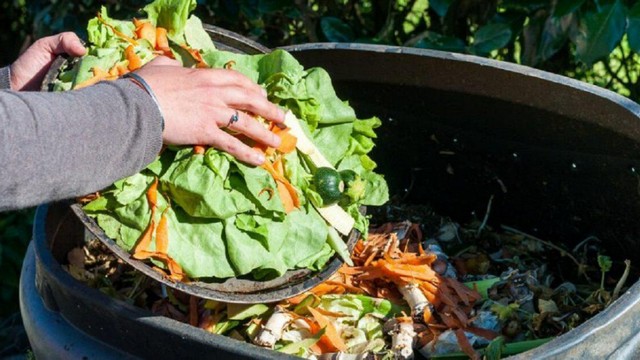 Nguyên liệu chính để ủ phân xanh là các loại rau củ quả thừa còn tươi
