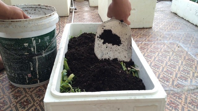 Có thể tận dụng các thùng xốp có nắp đậy để ủ phân xanh