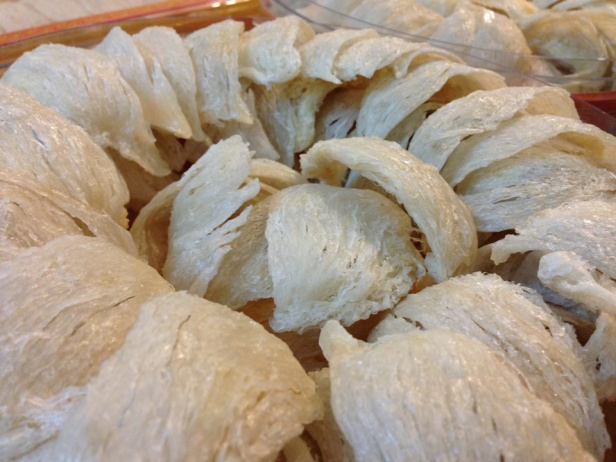 triển vọng nghề nuôi yến trong nhà ở nước ta