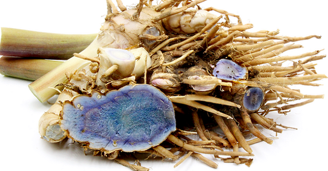 Kỹ thuật trồng nghệ đen hợp lý giúp cho củ mọc to, năng suất cao