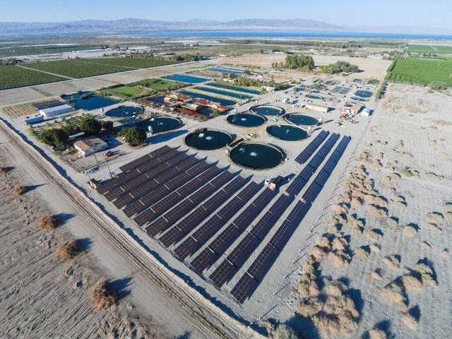 Nuôi cá trên sa mạc