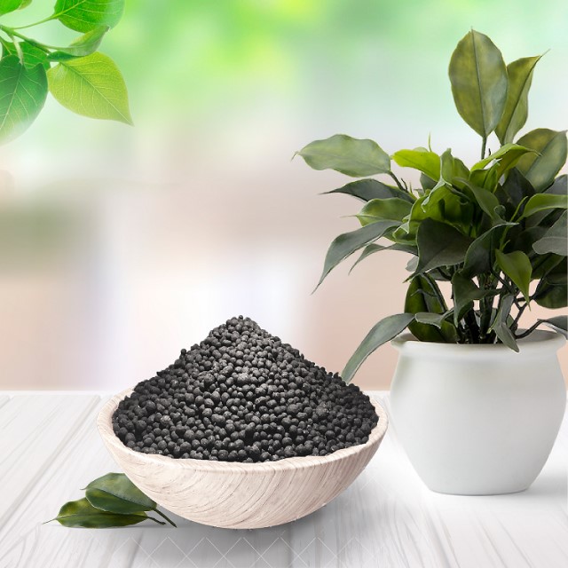 Nên sử dụng phân bón cây cảnh để cây phát triển tốt