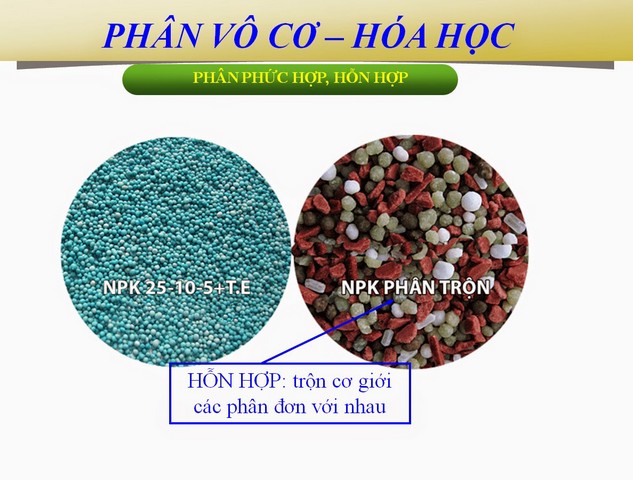 Phân hóa học chia thành nhiều loại khác nhau dựa trên nguyên tố dinh dưỡng
