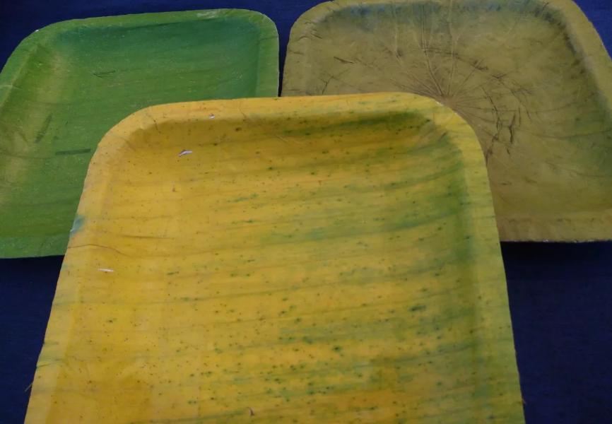 Sản phẩm khay từ lá chuối của VIBALE