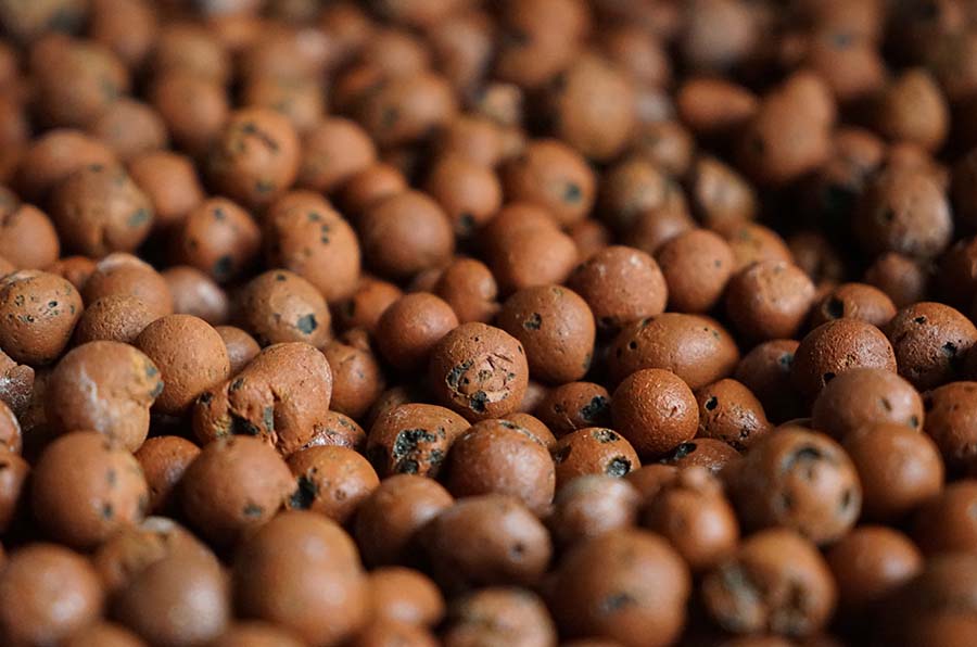 Giá thể thủy canh đất sét nung