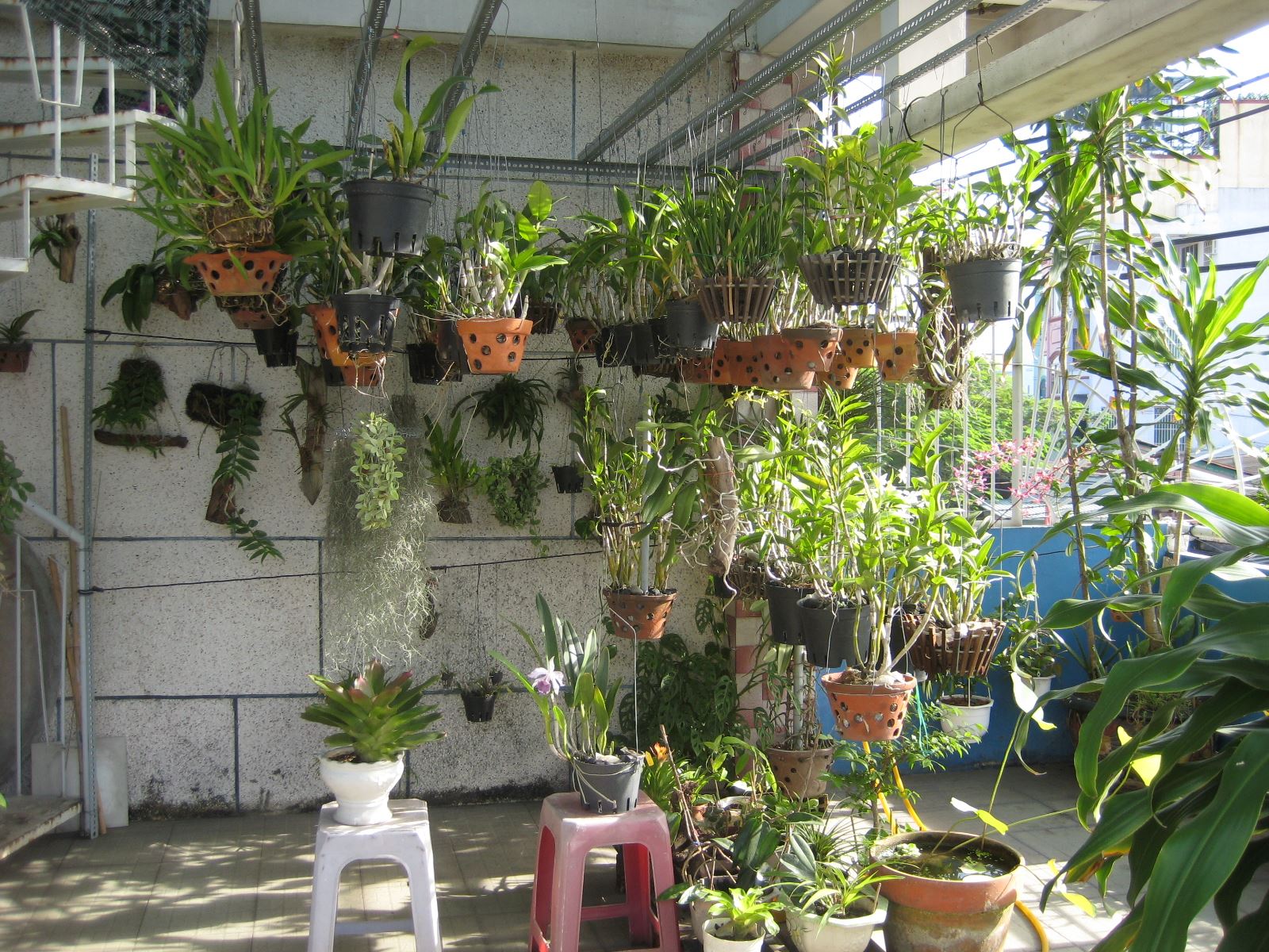 Thiết kế vườn trồng lan tại nhà