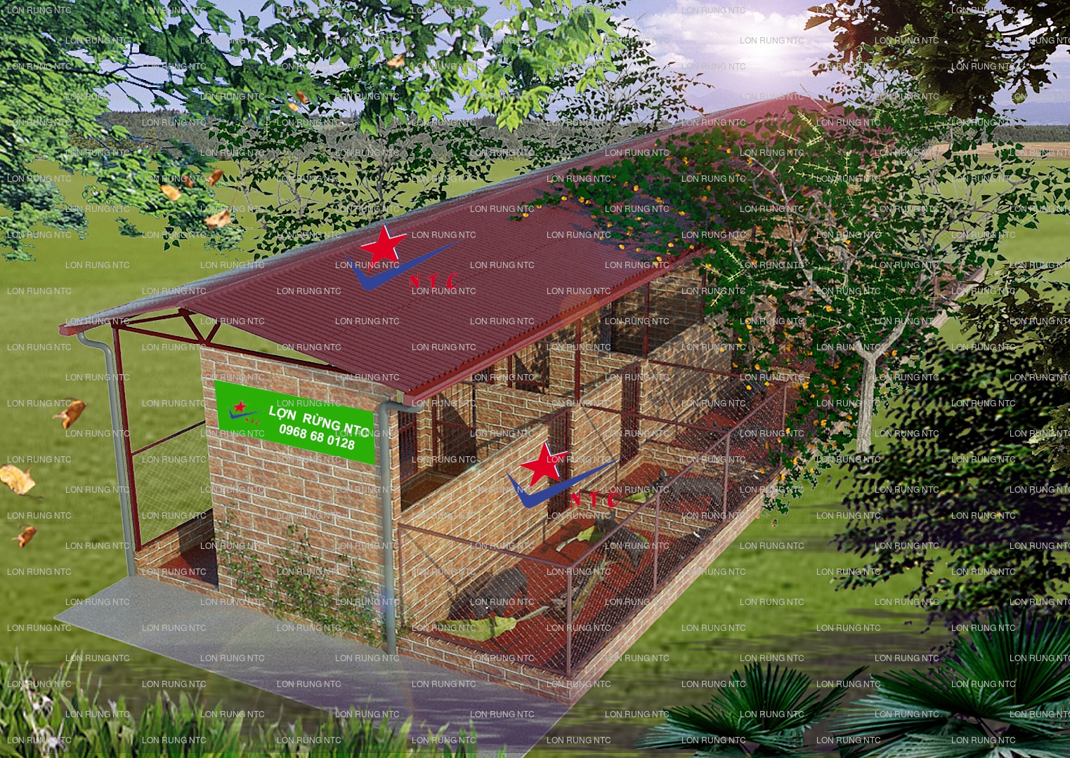 Chuồng trại nuôi heo rừng đơn giản