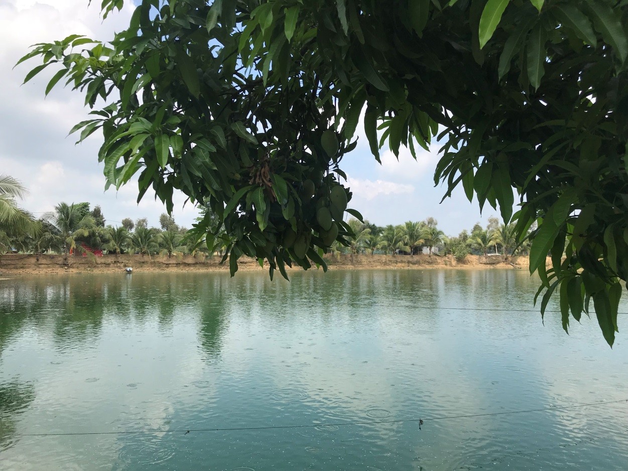 Mô hình vườn ao hồ