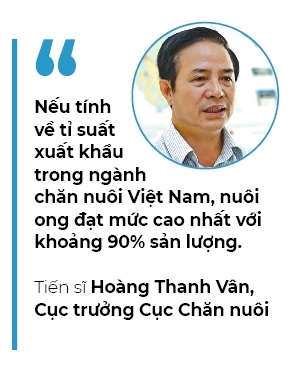 Ong mật việt