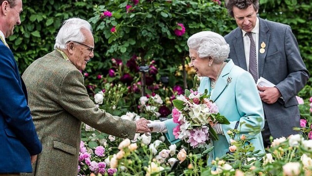 Điểm qua top 5 cánh đồng hoa hồng đẹp nhất thế giới