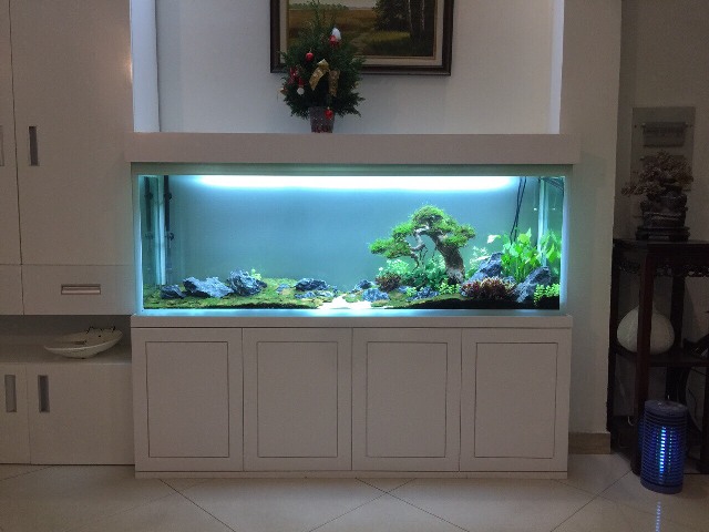 Chân đặt bể thủy sinh