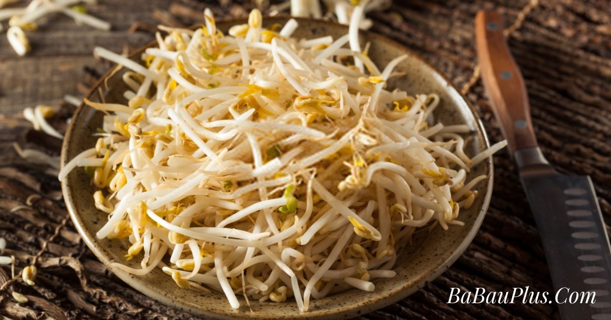 Những điểm cần lưu ý khi trồng giá đỗ