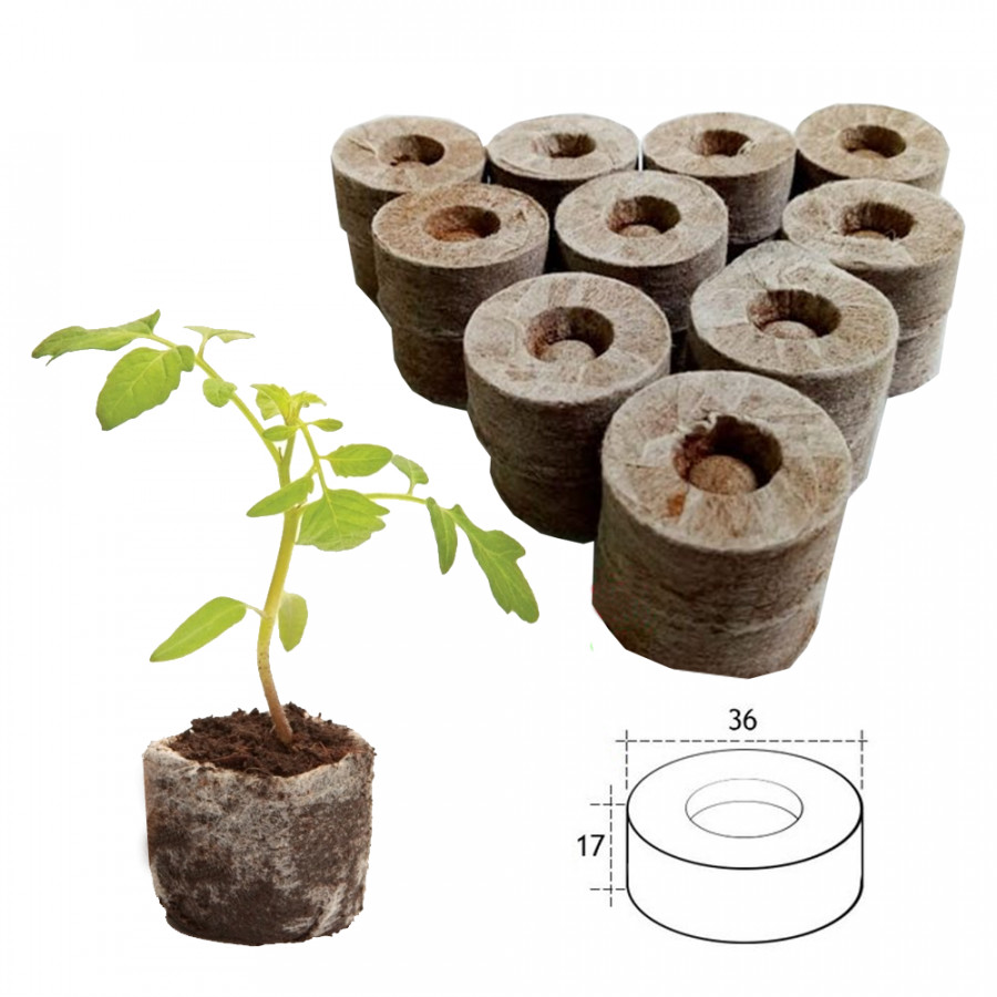 Lợi ích của xơ dừa trong trồng trọt