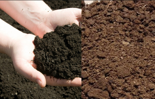 quy trình ủ phân bò