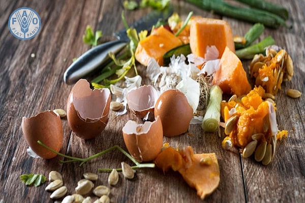 Phân hữu cơ từ vỏ trứng