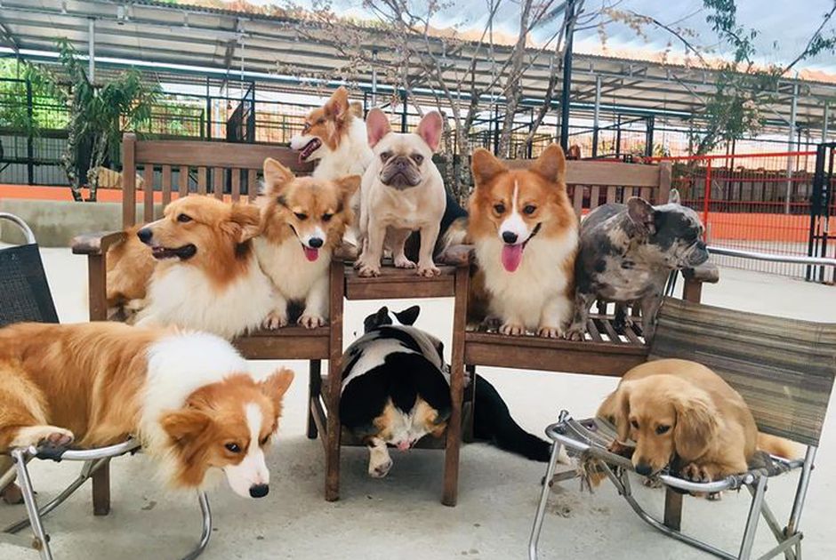 mô hình trang trại độc đáo