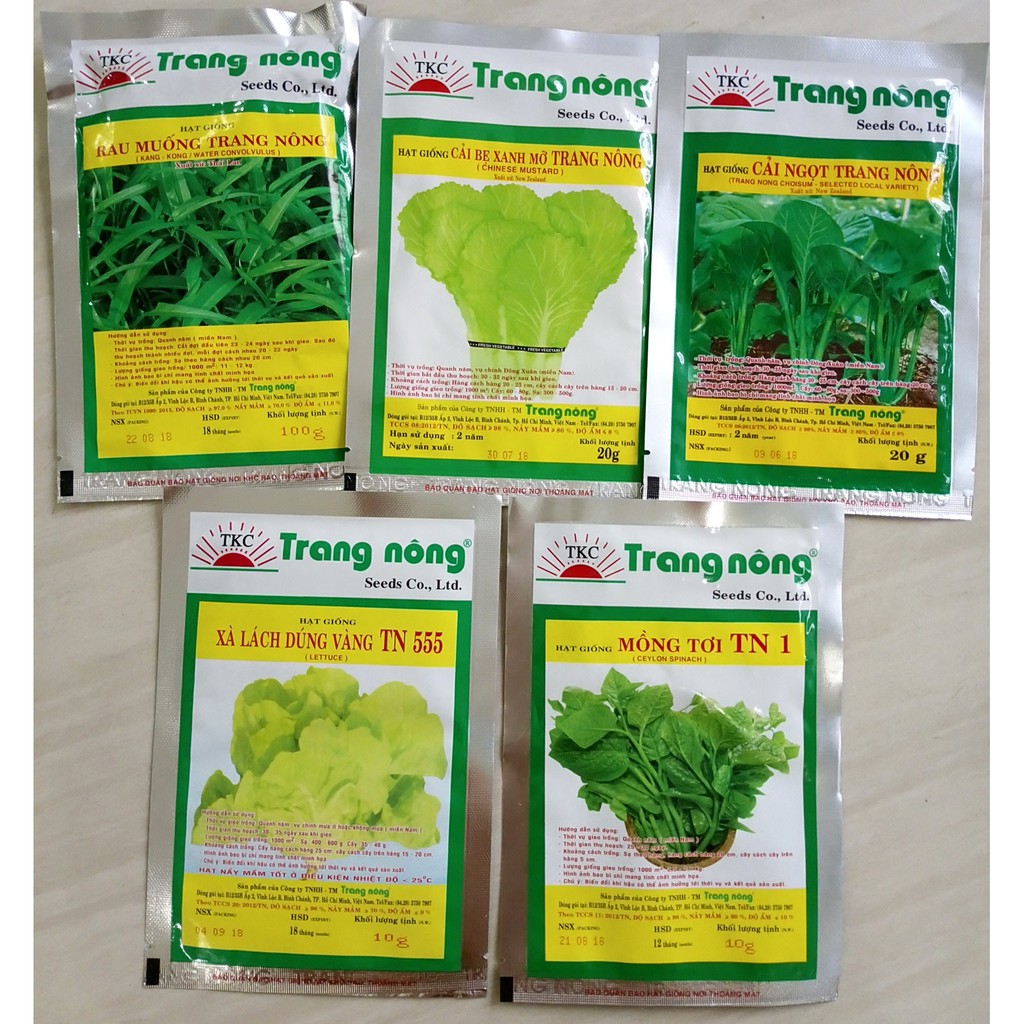 Trồng rau trong thùng xốp