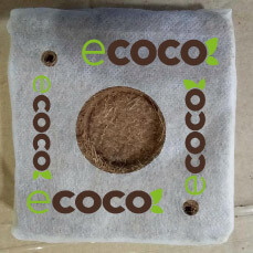 Viên nén xơ dừa gieo hạt hình vuông