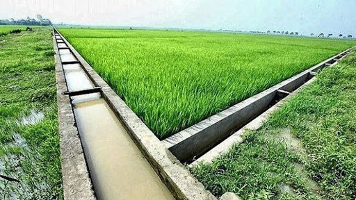hệ thống kênh mương giúp cải tạo đất bạc màu