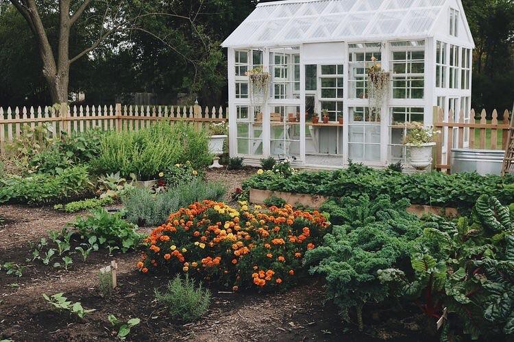 làm trang trại đạt hiệu quả