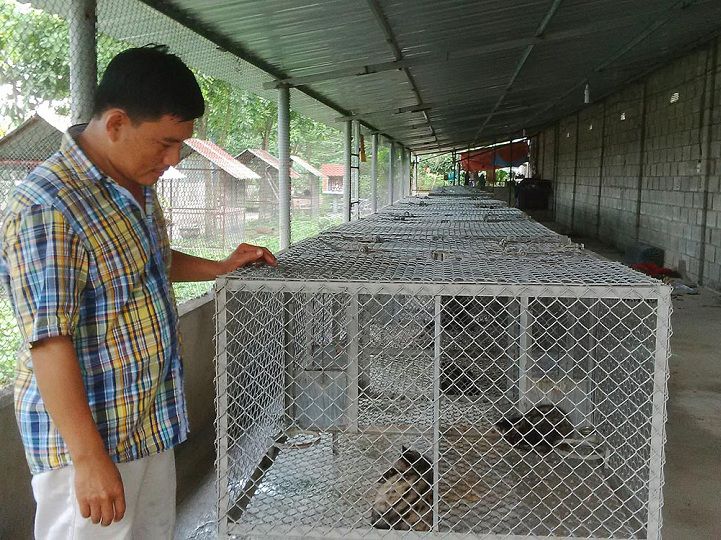 vệ sinh chuồng khi nuôi chồn hương