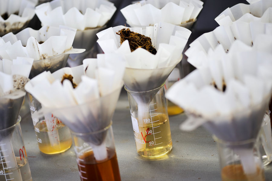 chỉ số EC trong giá thể xơ dừa trồng cây