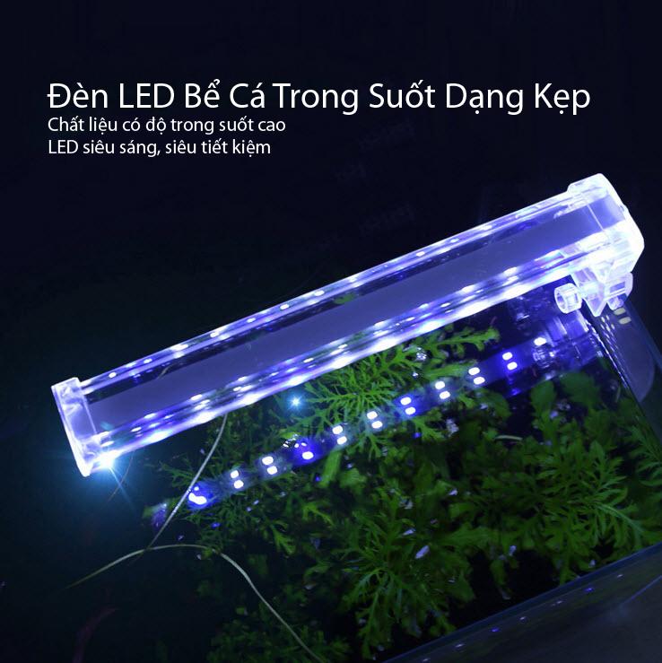 Đèn LED đặt trong bể thủy sinh