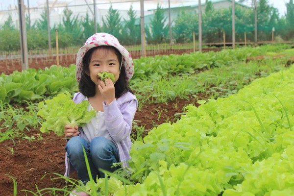 Lợi ích của nông nghiệp hữu cơ