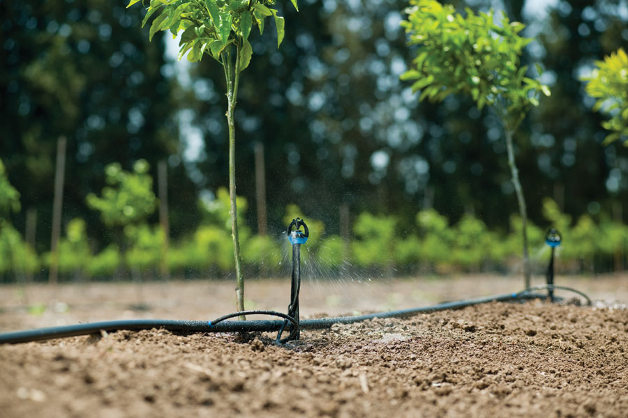 Tưới tự động S2000