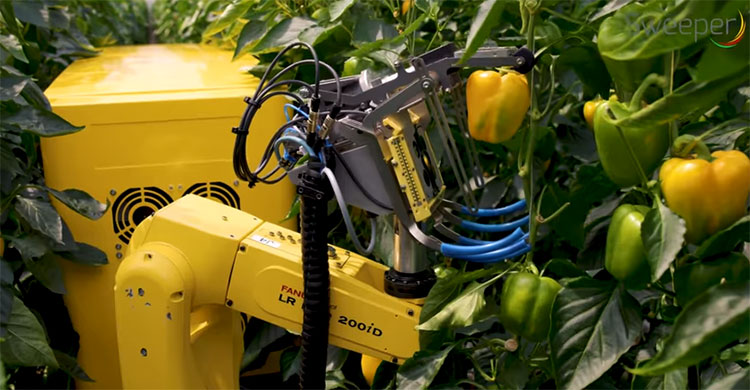 robot trồng trọt