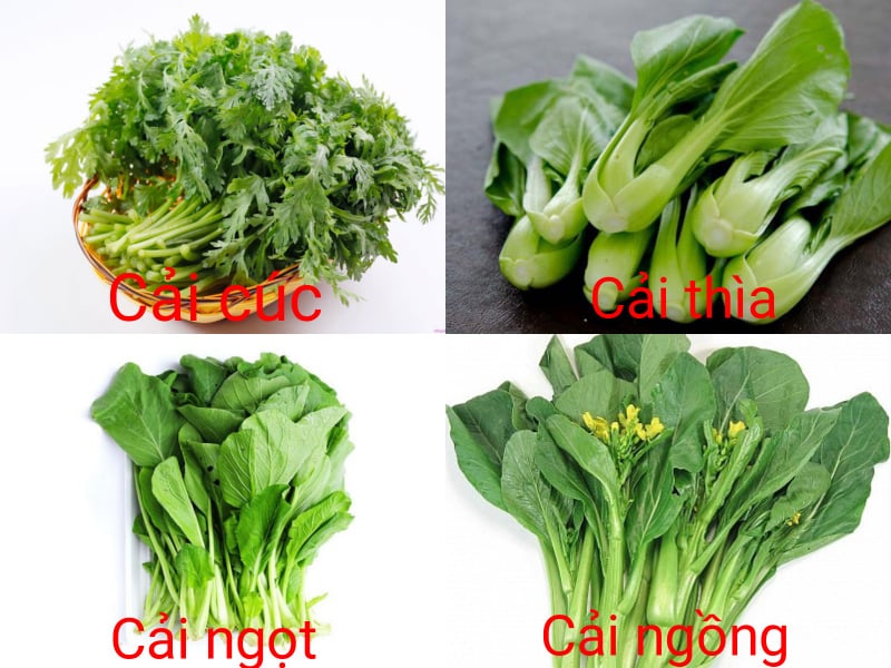 các loại rau trồng tháng 3