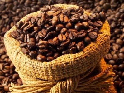 Trồng cafe Tây Nguyên